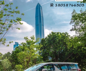 埃尔法