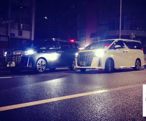 埃尔法