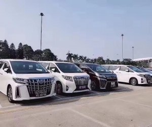 埃尔法