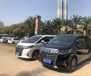埃尔法