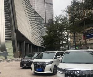 埃尔法