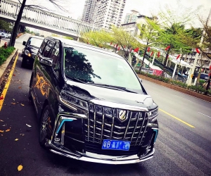 埃尔法